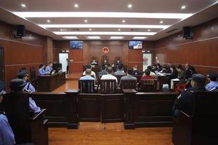 惠州博羅法院公開審理惡勢力團伙“軟暴力”催債案件，揭示擔保行業潛規則