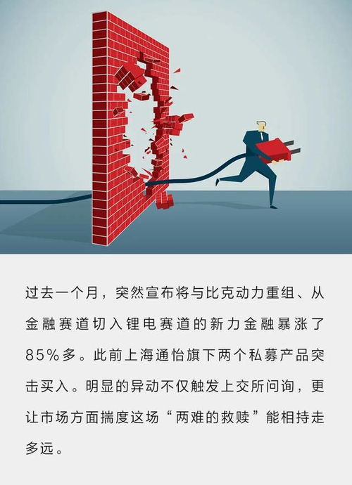 以鋰電池為名，一場疑竇叢生的重組 擔保公司的跨界迷局
