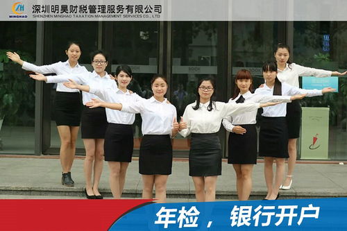 一般納稅人申請與擔保業務融合服務 石巖企業的合規路徑